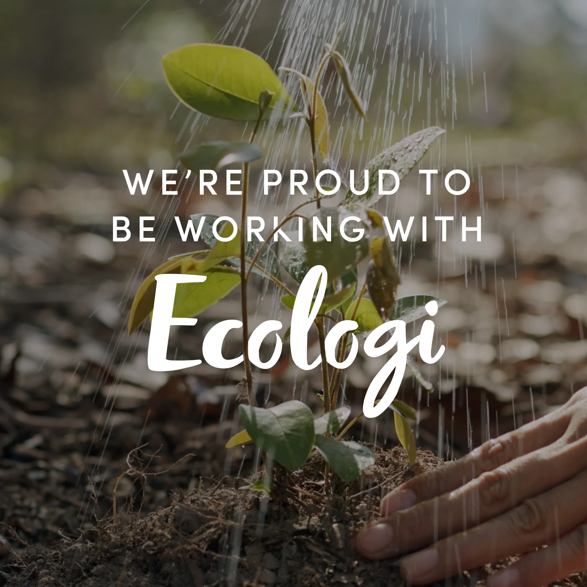 Ecologi Tree Donation Earth Week