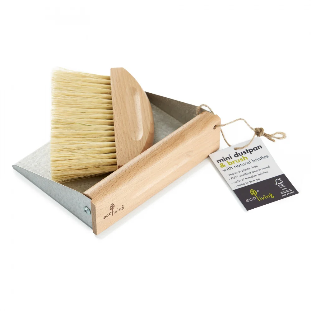 Mini Dustpan & Brush Set